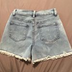 Crazy Train  Wild N Blue Patterned Jean Shorts Photo 1