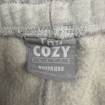 TNA aritzia the Cozy Fleece Boyfriend Sweat Shorts Gray Athletic Lounge Size L Size L Photo 3