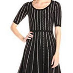 Gabby Skye  Fit & Flare Sweater Dress Black Cream Stripe Small Neutral Minimalist Photo 0