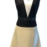 Ann Taylor Day Dress Stretch Poly Blend Black Tan White Dbl V Neck Lined Zipper Photo 0
