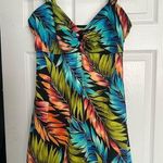 Islander Size 16 Womens Multicolor Unlined Wireless Tummy Control Swimdress Photo 0