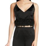 WAYF “Feather Trim” Satin Crop Top –Black Bustier Cami, Size S Photo 0