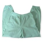 TNA Aritzia Extra Fleece Sweatpants Athleisure Influencer Mint Size Small Green Photo 5