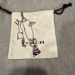 Coach  long rainbow rain cloud necklace Photo 0