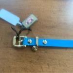 Juicy Couture  Pam & Gela Choose Juicy Neon Blue Belt Buckle Bracelet Photo 7