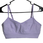 Aerie Purple Sports Bra Womens M Medium Support Ribbed V Photo 0