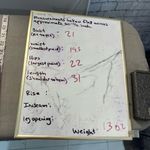 Adidas 🔥5 for $25 sale🔥  pink zip up athletic sweatshirt or lightweight jacket Photo 9