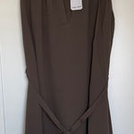 Naked Zebra NWT  Taupe Dress with Pleated Detail, Small Photo 0