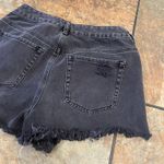 PacSun Shorts Photo 1