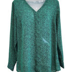 CAbi  Floral Long Sleeve V-Neck Sheer Work Blouse Green Career Wear Size Medium Photo 0