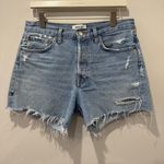 AGOLDE Size 27 Parker Long Short in Swapmeet Photo 1