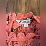 Nanette Lepore  Lace Blouse High Neck Short Sleeve Size XL Zip Back Office Core Photo 1