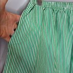 Lisa Says Gah  XL Green Striped Shorts Photo 3