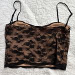 Edikted  Lace Top Photo 3