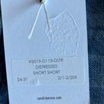 Free People x Sandrine Rose the Virgin Label | distressed denim high-rise shorts Photo 6