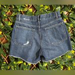 DL1961  Apollo High Rise Denim Short Size 27 Photo 4