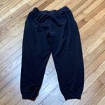 The North Face  fleece joggers size medium Photo 4