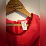 Celine by Champion size large dress in Coral pink. Peplum waist and puff sleeves Pink Photo 1