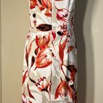 Connected Apparel Off White Taupe Red Floral Sleeveless Dress Size 4 Photo 3