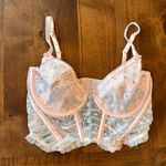 For Love & Lemons  Foil Rose Bustier Corset Bra Top Size SDD Pink and Blue Photo 2