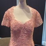 Women’s Pale Pink Lace Appliqué Short Sleeved Dress Size NWT Size L Photo 1