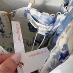 NWT V. Chapman Vera Ruffle Photo 8