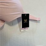 Wacoal Bra Comfort First T-Shirt Bra in Ballet Slipper Pink Sz 36D NWT #853339 Photo 4