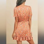 Dress Forum NWT -  Los Angeles - Daisy Dreams A-Line Dress - Taupe - Small Photo 1