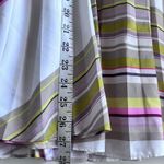 Ted Baker Gaelaa Carousel Stripe Pleated Midi Skirt Size 3/US 8 Photo 6