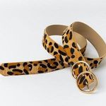 Francesca's Cheetah Print Belt Photo 0
