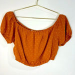 Lush Clothing 🆕 Lush Rust Colored Crop Top Photo 0