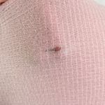 ZARA Textured Knit V-Neck Short Sleeve Top Pink Size Small Photo 13