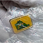 Vtg 50 Year Voter Thurston County Washington State Pin Voting WA Politics Photo 1