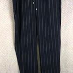 DKNY Blue Striped Pants L NWT Photo 0