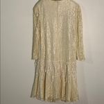 Chic Cream Lace Long Sleeve Dress Size 22W Photo 6