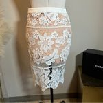 Endless Rose Cream Sheer Lace Skirt Photo 5