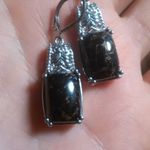 Matrix Silver Shungite Platinum Over Copper Lever Back Earrings Photo 7