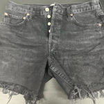 AGOLDE  Parker Long Shorts Photo 0