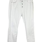 J.Crew NWT 10" Vintage Slim-Straight Jean in White Button Fly Size 33 NEW Photo 0
