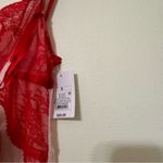 Auden Red and Cream Lace Chemise Photo 2