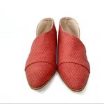 Catherine Malandrino Rust Snake Print Flats 6.5 Photo 1