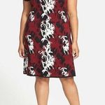 New Womens NWT Taylor Dress 2X Plus Sweater Black White Dark Red Soft Flowers Photo 0