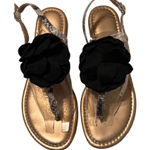 BCBGeneration sz 7 gold sandals w/black flower & snake print straps GUC No box Photo 0