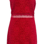 Sequin Hearts  Lace Shimmer Dress 15 Holiday Illusion Party Sexy Winter Valentine Photo 0