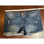 DL1961  Karlie Boyfriend Denim Short Bluegrass Size 29 Photo 6