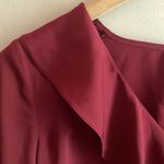 L'Academie The Ruffle Blouse in Cabernet Photo 6