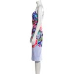 Ted Baker Authentic Emore Bodycon Dress in Focus Bouquet Print Midi Size Small Photo 4