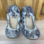 Yosi Samra Leather Snake Print ScLes Foldable Ballet Flat 5 Black Photo 0