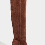 Madewell The Jimi Over-the-Knee Suede Boot in Brown Size 11 Photo 0