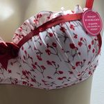 Massam Size Medium Floral Padded Underwire Bra. Made in Brazil. New with Tags White Photo 3